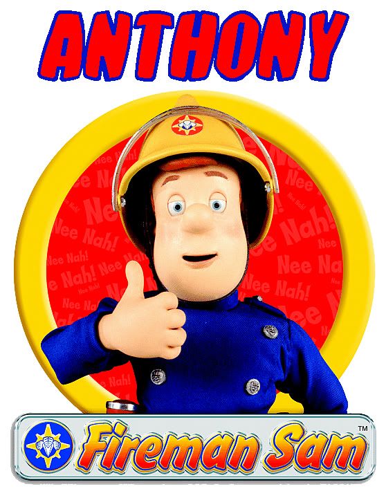 Personalized FIREMAN SAM T Shirts Many Colors & Sizes  