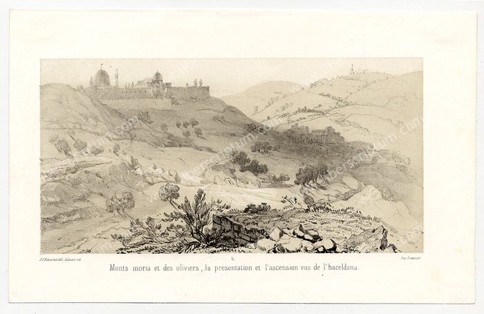 Jérusalem Monts des Oliviers Moria Haceldama Litho 19e  