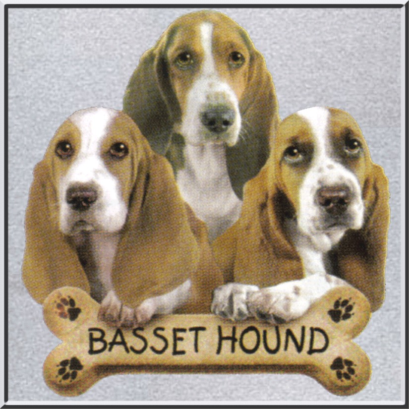 Basset Hound Puppies With Bone Dog Shirt S 2X,3X,4X,5X  