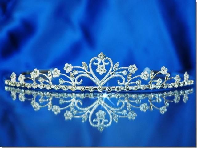 Bridal Wedding Crown Veil Pageant Homecoming Prom Crystal Tiara C8865 