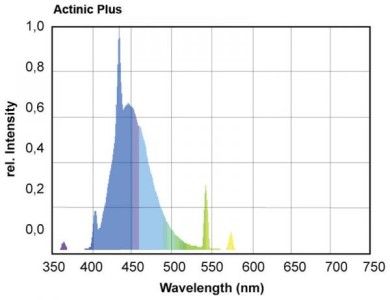 Giesemann 80w Actinic Plus T5 bulb Live Coral aquarium  