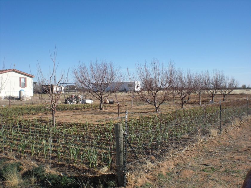 SOUTHERN ARIZONA~PREMIUM 2.45 AC~WILLCOX~POWER AT LOT~VINEYARDS 