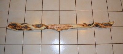   Walking Stick Cane Hike Climb Trek Taxidermy Forest Cabin  