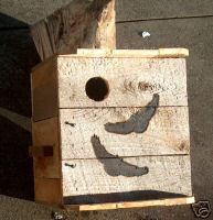 TWO=SMALL SCREECH OWL house, Nesting box. Ohio quality  