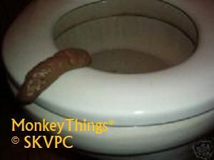 Fake Poop Crap Turd Novelty   Funny Gross Prank Toy  