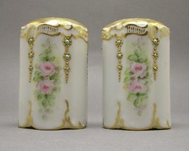 Rosenthal Hand Painted Moriage Salt & Pepper Shaker Set  