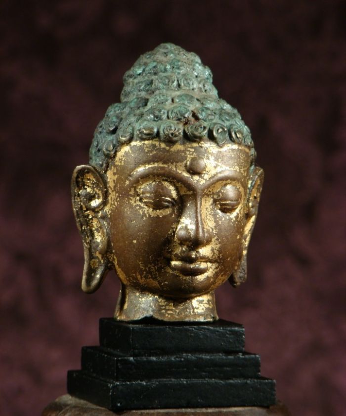 BUDDHA HEAD OF TIBETAN SHAKYAMUNI, GILDED BRONZE, SUPERB PATINA, late 