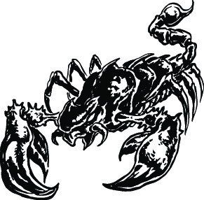 LARGE SCORPION #10 DECAL GRAPHIC CAR TRUCK SEMI HOOD  