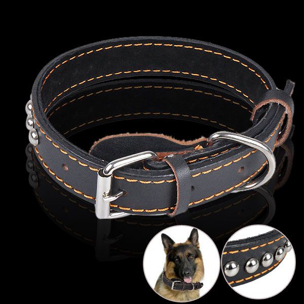 Identify Dog Collar Buckle Leather Neck Strap 16  