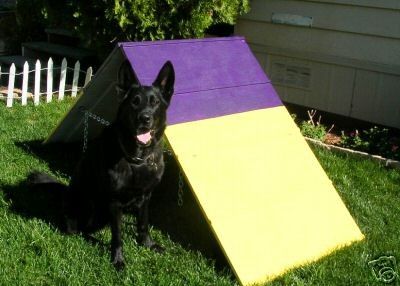 Dog Agility Mini A Frame,10 tunnel &2 Tunnel Sand Bags  