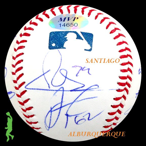 2012 DETROIT TIGERS TEAM SIGNED AUTO BASEBALL BALL PRINCE FIELDER 