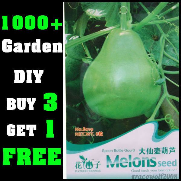 Lots Shape Gourd Pick Ornamental Fruit Seed Garden decor DIYSEEDS INC 