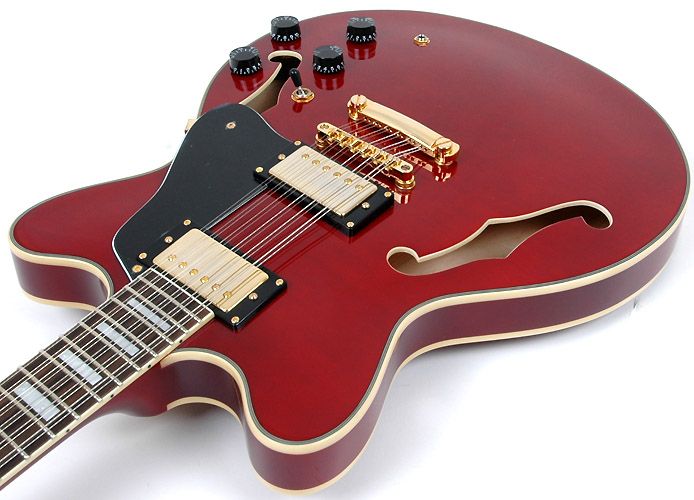 Agile AS 820 12 String Wine Red Semi w/EGC Case  