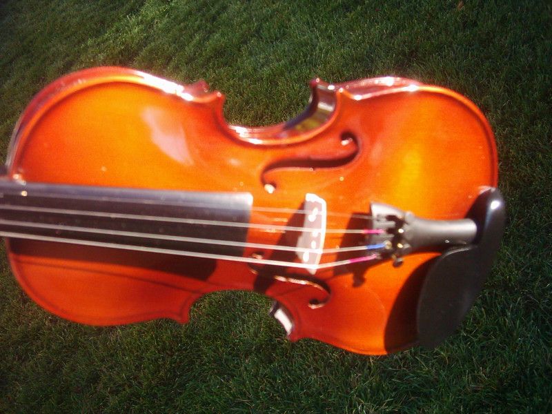 these quality built violins are the prettiest student violins 